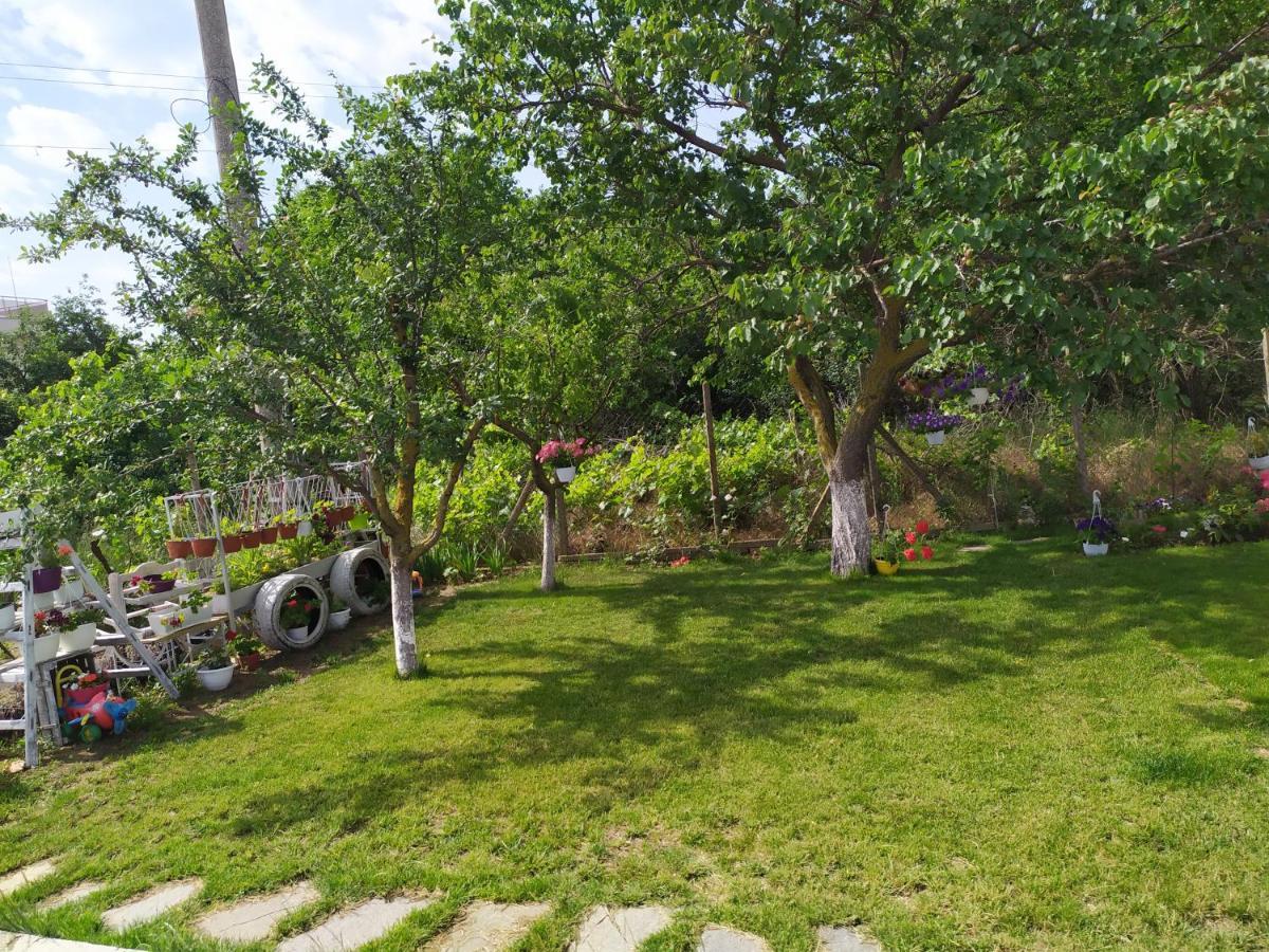Villa Savovi Warna Exterior foto